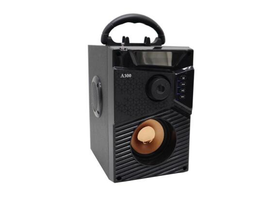 Φορητό Ασύρματο Ηχείο Καραόκε με μικρόφωνο, Micro SD, Radio,  20x13x16 cm