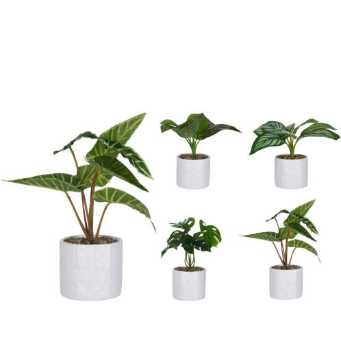 ArteLibre Φυτό Τεχνητό 25cm Σε Λευκό Κεραμικό Γλαστράκι 11x11x10cm Σε 4 Ποικιλίες