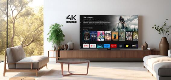 Panasonic TB-55W60AEZ