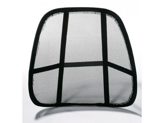 Gadget Master Εργονομικό στήριγμα πλάτης