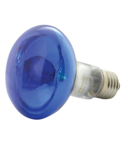 QTX R80 REFLECTOR BULB E27 BLUE