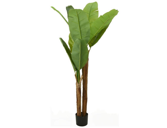 THE NETHERLANDS Tεχνητό φυτό σε γλάστρα Μπανανιά - 160cm
