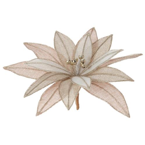 ΑΛΕΞΑΝΔΡΙΝΟ 22ΕΚ ΠΟΝ-ΠΟΝ ΚΛΙΠ