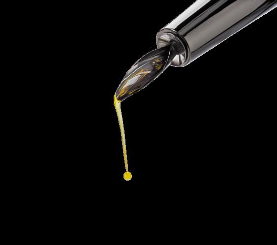 Olipac Zeus Λαδικό Γυάλινο με Ανοξείδωτη Επίστρωση 125ml Ανθρακί με ροή σε σχήμα φύλλου- Σε Συσκευα