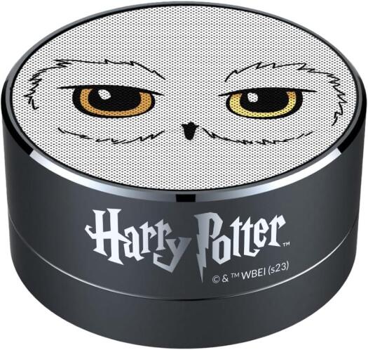 Big Ben Ηχείο Bluetooth 3W με Ραδιόφωνο Harry Potter