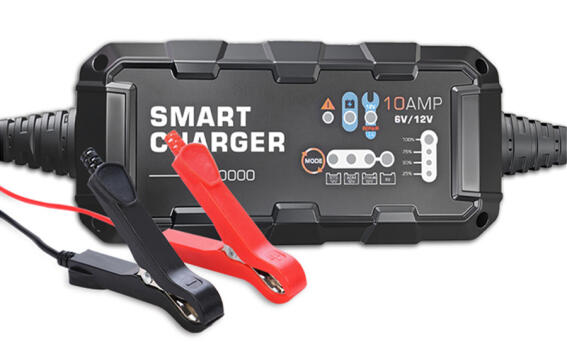 BYGD φορτιστής & συντηρητής μπαταρίας αυτοκινήτου F10000 6V/2A 12V/10A
