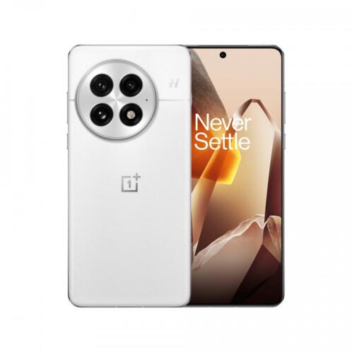 OnePlus CPH2653 13 Europe 16/512GB Artic Dawn EU