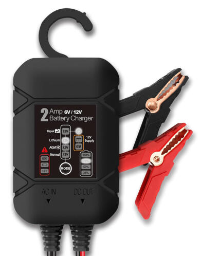 BYGD φορτιστής & συντηρητής μπαταρίας αυτοκινήτου S2000 6-12V/2A