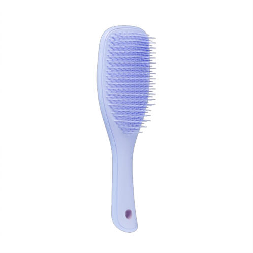 Tangle Teezer The Wet Detangler Mini Βούρτσα Μαλλιών για Ξεμπέρδεμα Lavender