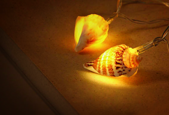 Joylight Κοχύλια 10 Τεμάχια Led