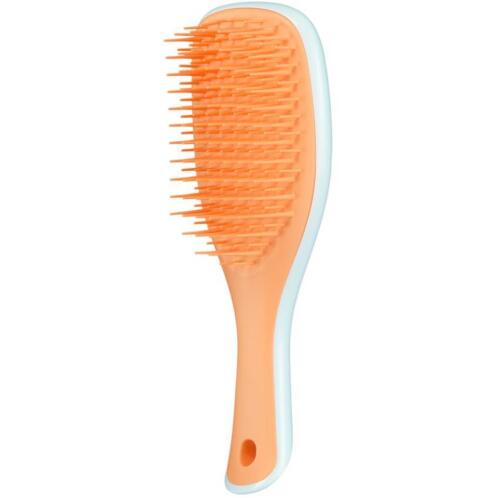 Tangle Teezer Mini Ultimate Βούρτσα Μαλλιών για Ξεμπέρδεμα Ice Blue Sweet Orange