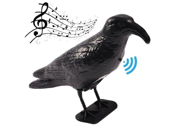 Απωθητικό πτηνών και ερπετών ομοίωμα μαύρο κοράκι με αισθητήρα και ήχο, 34x26x12cm