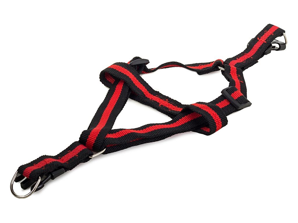 Επεκτεινόμενο λουράκι σκύλου Οδηγός Βόλτας με ιμάντα 1,5m σε κόκκινο χρώμα