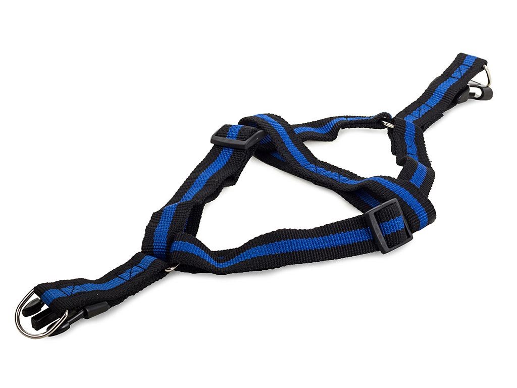 Επεκτεινόμενο λουράκι σκύλου Οδηγός Βόλτας με ιμάντα 1,5m σε Μπλε χρώμα