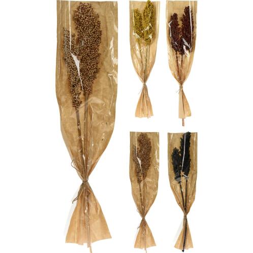 ArteLibre Φύλλα Αποξηραμένα Indian Corn Δεμένα Σε Χάρτινη Θήκη Σε 4 Ποικιλίες