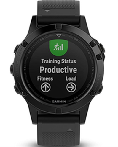 Garmin Smartwatch Fēnix 5 Slate grey with black band