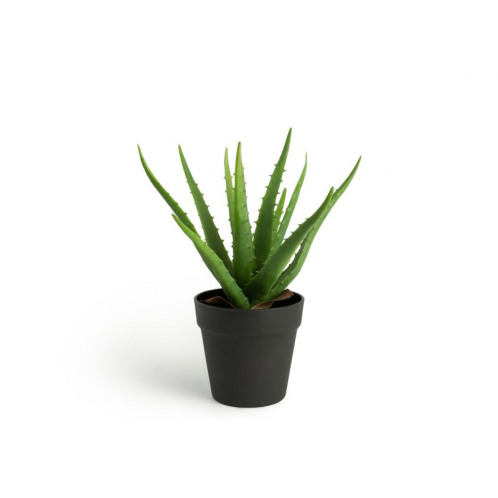 Inkazen Τεχνητό Φυτό Aloe Vera 36 cm 40081834