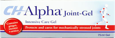 VivaPharm CH Alpha Joint Gel για Μυοσκελετικούς Πόνους 75ml